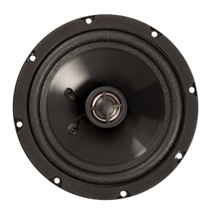 Loa cánh đồng trục DLS M226