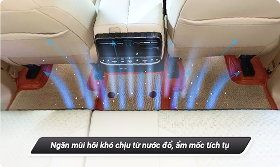 hinh anh cau tao tpe