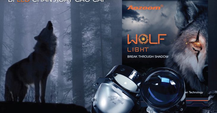 Aozoom Wolf Light