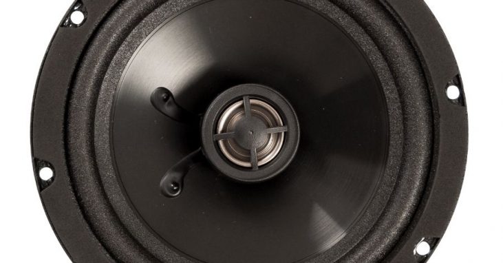 Loa cánh đồng trục DLS M226