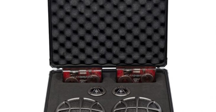 Loa cánh 2 Way phân tần DLS Scandcase 2