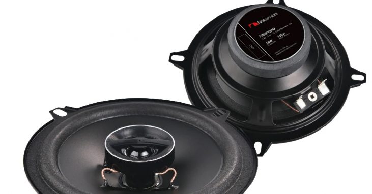 Loa cánh đồng trục Nakamichi NSE1318