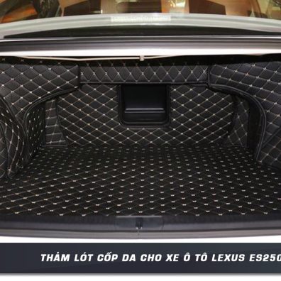 Tham-lot-cop-da-cho-xe-oto-LEXUS-ES250-tai-panda-auto